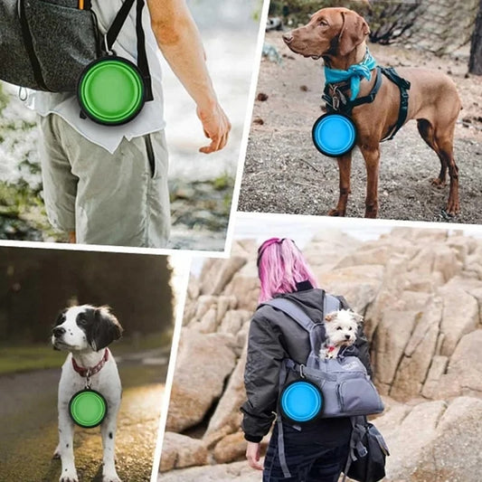 Portable Foldable Collapsing Silicon Non-Tear Dog Bowl